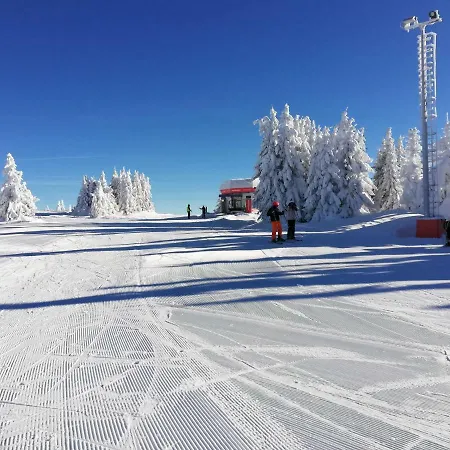 Milmari L4 Kopaonik