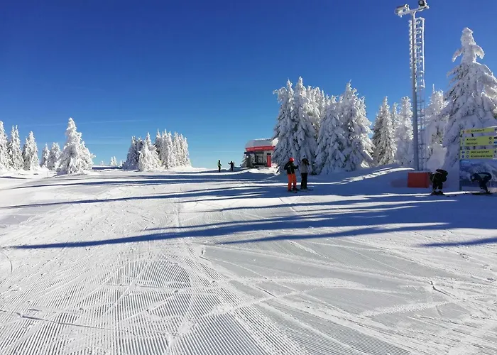 Milmari L4 Kopaonik
